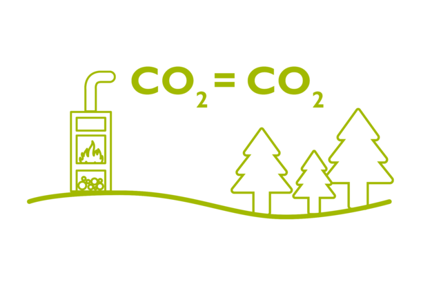 Holz als erneuerbare Ressource (CO2 = CO2)