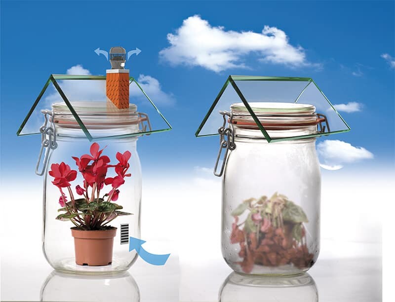 Image Title: If somebody hovers the image it appears.