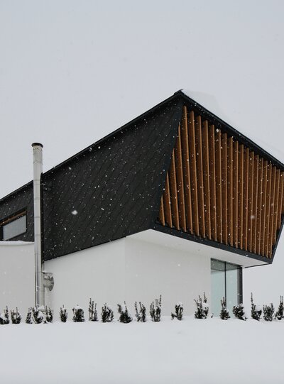 Hiša z inox dimnikom