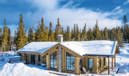 Image Title: If somebody hovers the image it appears.