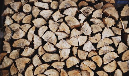 Palivové dříví | © Patrick Tomasso