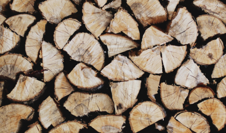 Cjepana drva | © Patrick Tomasso