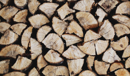 Gestapeltes Holz | © Patrick Tomasso