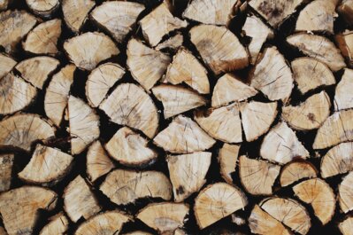 Gestapeltes Holz | © Patrick Tomasso