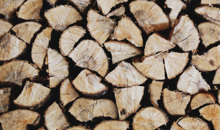 Gestapeltes Holz | © Patrick Tomasso