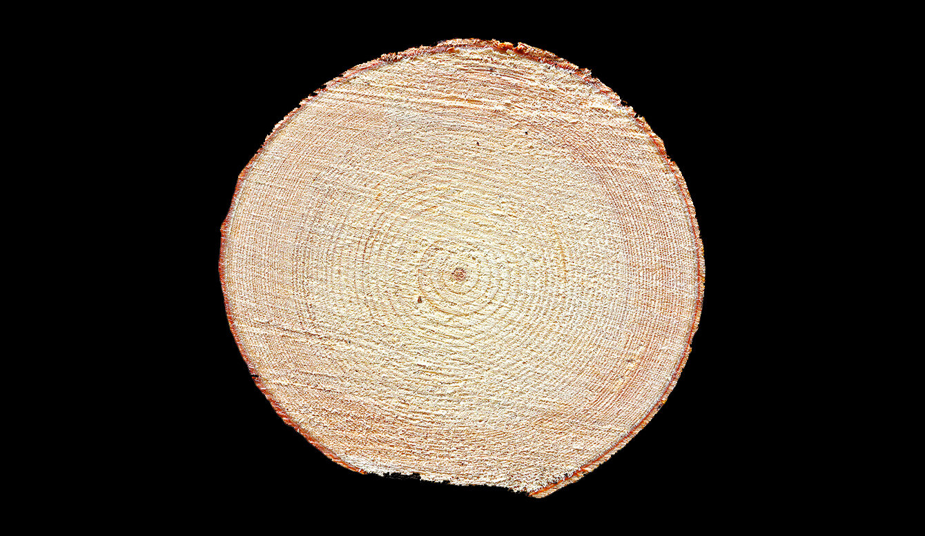 Die natürlichste Art zu Heizen Holz!