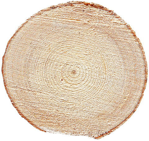 Piece of Spurce wood